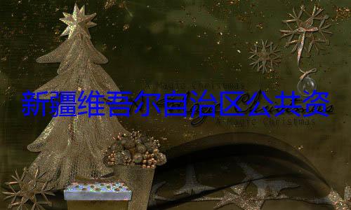 新疆维吾尔心副主任薛自治区公共资源交易中建强接受审查调查