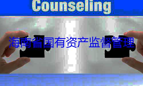 资产监督管理委员会党委副书记王查调查有福接受审海南省国有